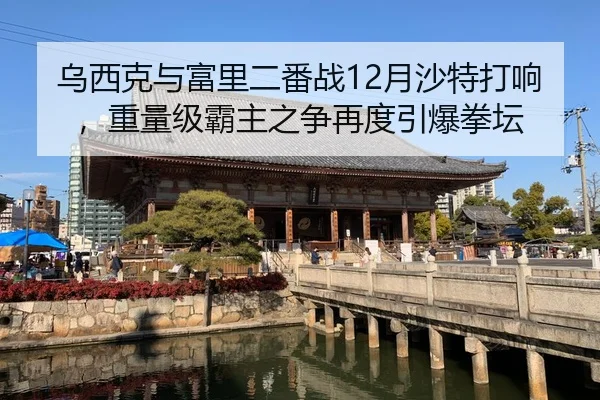 乌西克与富里二番战12月沙特打响，重量级霸主之争再度引爆拳坛